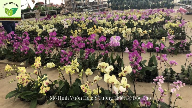 Mô Hình Vườn Hoa