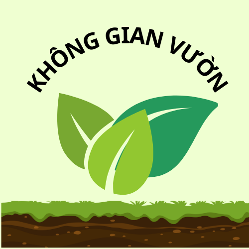 Không Gian Vườn